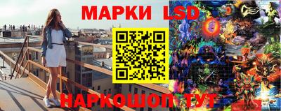 мяу мяу мука Шебекино