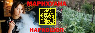 стафф Шелехов