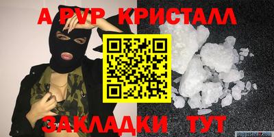 стафф Шелехов